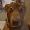 😳