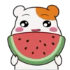 🍉