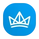 👑