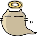 🐱
