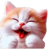 😆