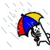 ☔️