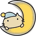 🌙