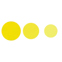 🟡