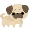 🐶