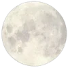 🤩