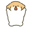 🐶
