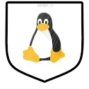 🐧