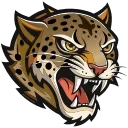 🐆