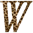 🐅