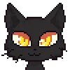 🐈‍⬛