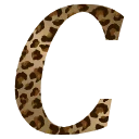 🐅