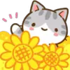 🌼