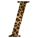 🐅