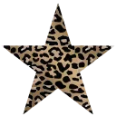 🌟
