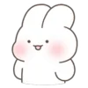 🐰