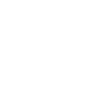 🪙