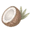 🥥