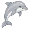 🐬