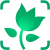 🍀