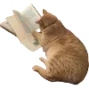 📖