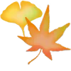 🍁