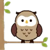 🦉