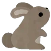 🐇