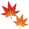🍁