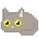 🐈