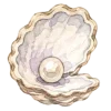 🐚