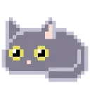 🐈