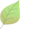 🍃