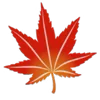 🍁