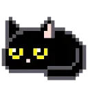 🐈