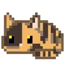 🐈