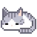 🐈