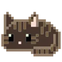 🐈