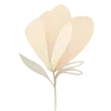 🌸
