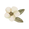 🌸