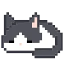 🐈