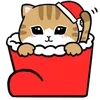 🐈