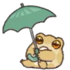 ☂️