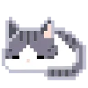 🐈