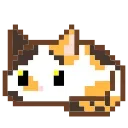🐈