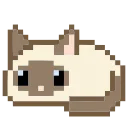 🐈