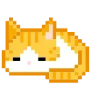 🐈