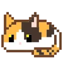 🐈