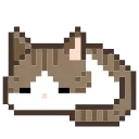 🐈