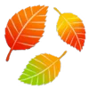 🍂